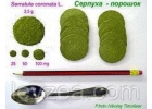 Серпуха-порошок 100гр содержит 4730мг экдистерона