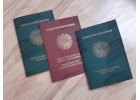 Официальный перевод для ВНЖ